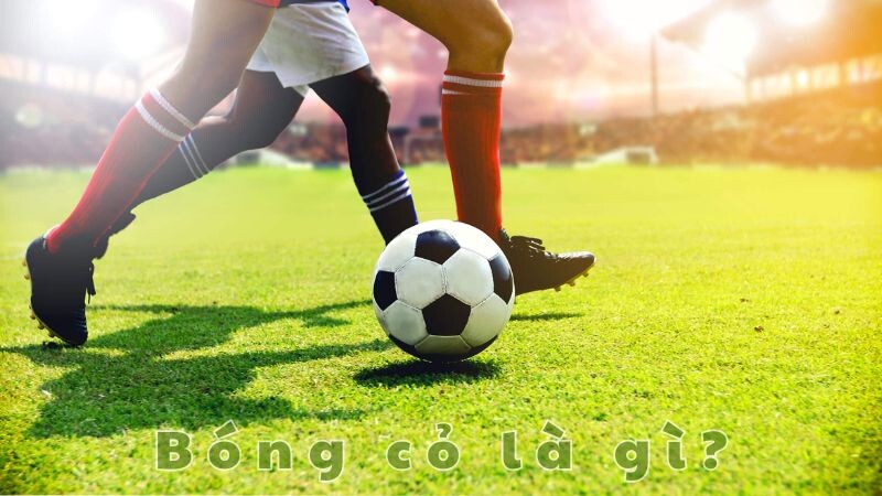 Khái niệm bóng cỏ trong bóng đá